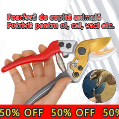 🐏✂️Copte de oaie, copite de vacă, copite de cal foarfece de tăiere