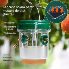 🔥 Ofertă nouă și fierbinte ❤️‍🔥 Capcană solară suspendată pentru viespi