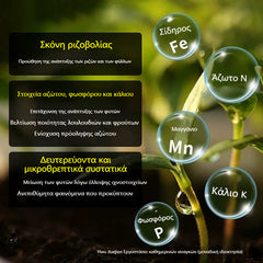 🌱🌷【Cumpără 5, primești 5 gratis】Pudră pentru înrădăcinare rapidă a plantelor / Îngrășământ compozit cu acțiune rapidă