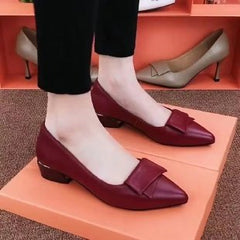 Pantofi stil franțuzesc cu talpă moale și toc jos