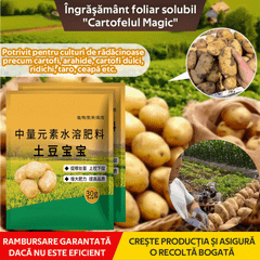 【8 pungi】Îngrășământ foliar solubil "Cartofelul Magic"｜Pentru cartofi, arahide, cartofi dulci, ridichi, taro și ceapă – stimulează rădăcinile, mărește producția