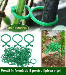 🍇【1000 bucăți】🌱Cleme fixe cu cataramă în formă de 8, potrivite pentru plante cățărătoare, grădini/grădini de legume/livezi, legături pentru viță de vie