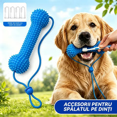🐕Jucărie pentru Ros de către Animale – Protejează Dinții Animalului Tău și Îi Oferă Mai Multă Distracție Acasă!