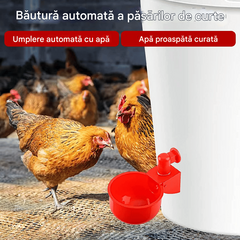 🐔Αυτόματη ποτίστρα πουλερικών