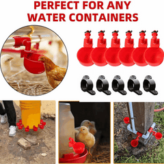 🐔【Set de 10 bucăți】Adaptoare automate pentru păsări de curte, fără reumplere manuală