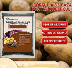 🥔🥜Îngrășământ foliar solubil – promovează creșterea rădăcinilor și crește randamentul