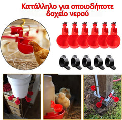 🐔【Set de 10 bucăți】Adaptoare automate pentru păsări de curte, fără reumplere manuală