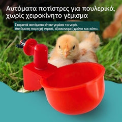 🐔【Set de 10 bucăți】Adaptoare automate pentru păsări de curte, fără reumplere manuală