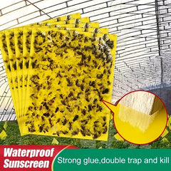 💥【30buc】Placă lipicioasă dublu-față pentru insecte, de culoare galbenă