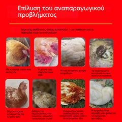 🐔🦆【🔥Cumpără 1, Primești 1 Cadou】Medicament special împotriva gripei, potrivit pentru găini, rațe, gâște și păsări de curte