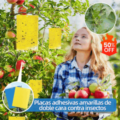 💥【30buc】Placă lipicioasă dublu-față pentru insecte, de culoare galbenă